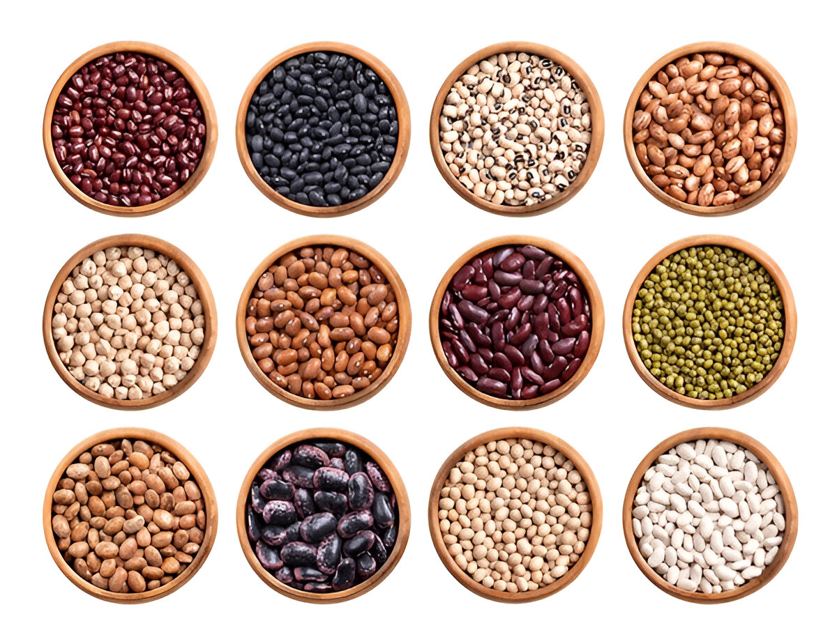 Seeds
