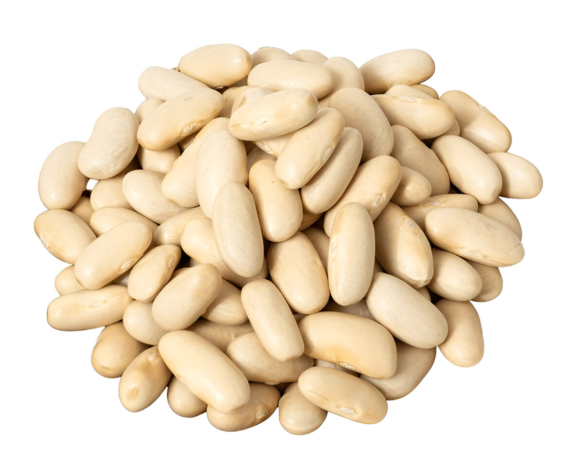Cannellini (Alubia) Beans