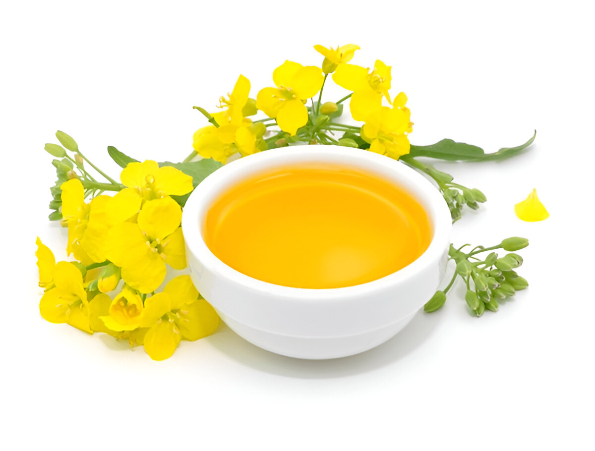 Canola Oil