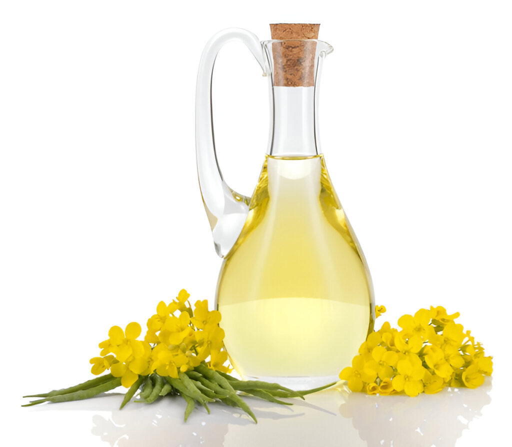 Rapeseed Oil